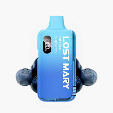 BLUEBERRY LOST MARY BM6000 REFILL PACK - Image 2