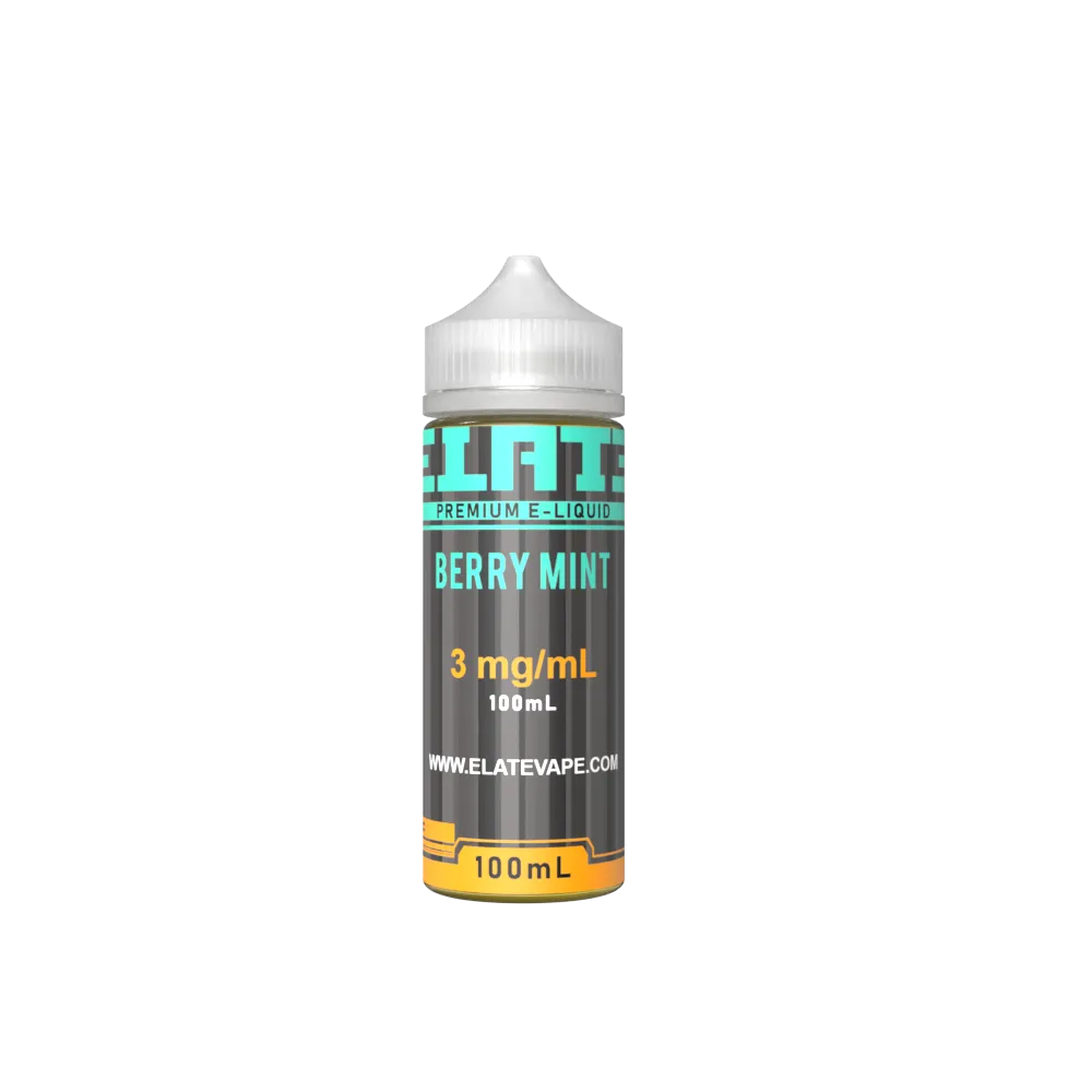 Berry Mint E-liquid 100ml - Image 2
